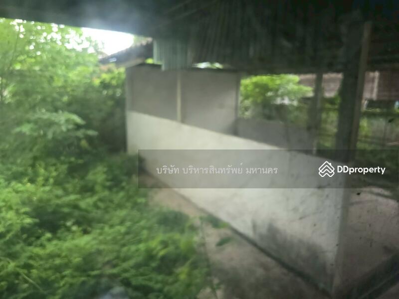 For Sale - Single House San Pa Tong Chiang Mai, Chiang Mai