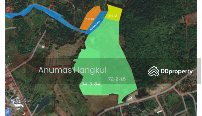 ขาย - ขาย ที่ดิน 4 แปลง  อ.สอยดาว  จ.จันทบุรี, จันทบุรี