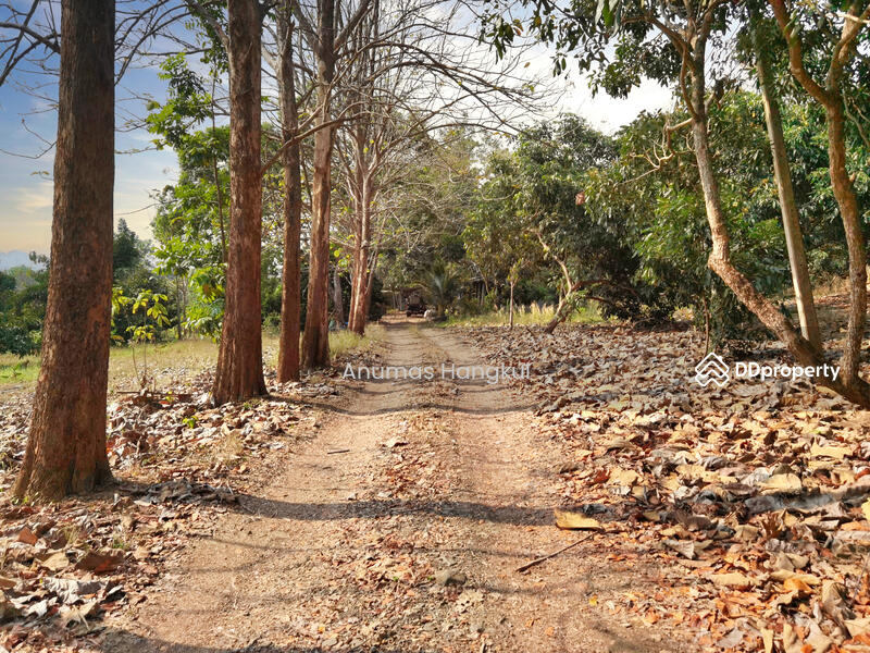 ขาย ที่ดิน 4 แปลง อ.สอยดาว จ.จันทบุรี, Chanthaburi, Sai Khao, Soydow, Chanthaburi, , 194,620 sqm, Land For Sale, by Anumas Hangkul, 10768932 - DDproperty.com