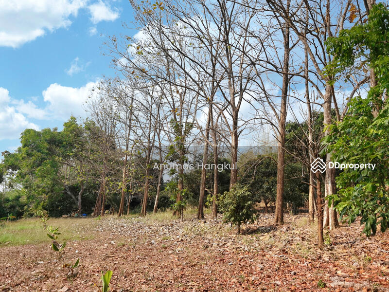 ขาย ที่ดิน 4 แปลง  อ.สอยดาว  จ.จันทบุรี, จันทบุรี, ทรายขาว, สอยดาว, จันทบุรี, 194,620 ตร.ม., ที่ดิน ขาย, โดย Anumas Hangkul, 10768932 - DDproperty.com