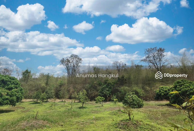 ขาย ที่ดิน 4 แปลง อ.สอยดาว จ.จันทบุรี, Chanthaburi, Sai Khao, Soydow, Chanthaburi, , 194,620 sqm, Land For Sale, by Anumas Hangkul, 10768932 - DDproperty.com