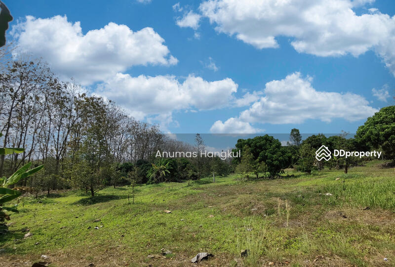 ขาย ที่ดิน 4 แปลง อ.สอยดาว จ.จันทบุรี, Chanthaburi, Sai Khao, Soydow, Chanthaburi, , 194,620 sqm, Land For Sale, by Anumas Hangkul, 10768932 - DDproperty.com