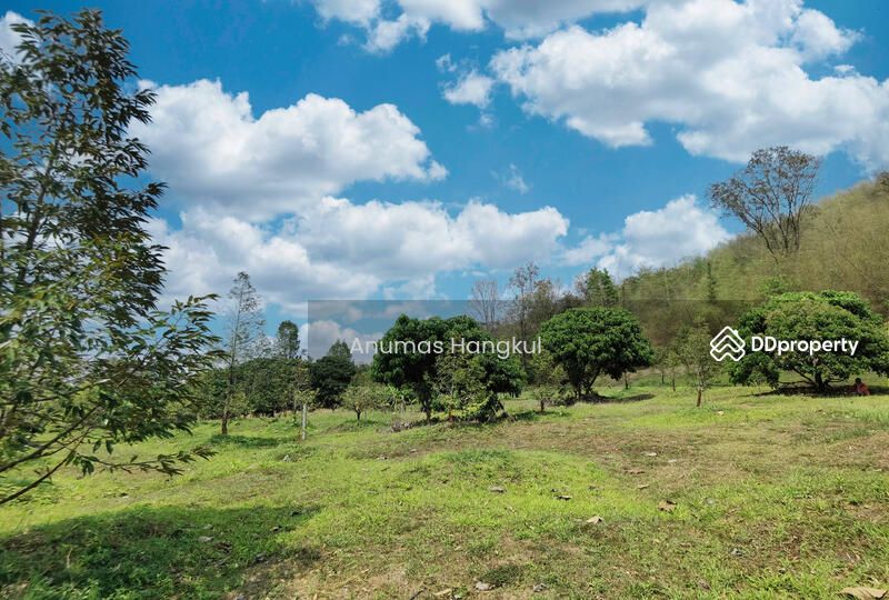 ขาย ที่ดิน 4 แปลง  อ.สอยดาว  จ.จันทบุรี, จันทบุรี, ทรายขาว, สอยดาว, จันทบุรี, 194,620 ตร.ม., ที่ดิน ขาย, โดย Anumas Hangkul, 10768932 - DDproperty.com