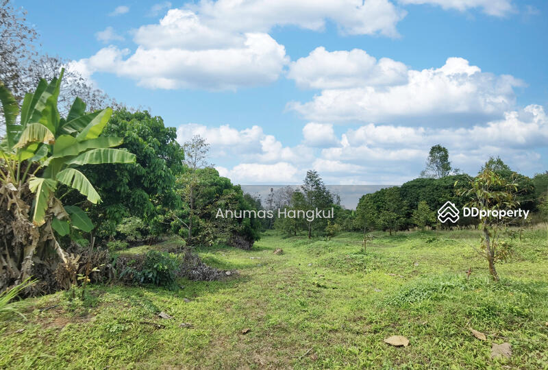 ขาย ที่ดิน 4 แปลง  อ.สอยดาว  จ.จันทบุรี, จันทบุรี, ทรายขาว, สอยดาว, จันทบุรี, 194,620 ตร.ม., ที่ดิน ขาย, โดย Anumas Hangkul, 10768932 - DDproperty.com