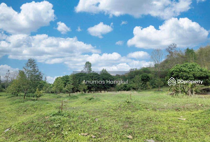 ขาย ที่ดิน 4 แปลง  อ.สอยดาว  จ.จันทบุรี, จันทบุรี, ทรายขาว, สอยดาว, จันทบุรี, 194,620 ตร.ม., ที่ดิน ขาย, โดย Anumas Hangkul, 10768932 - DDproperty.com