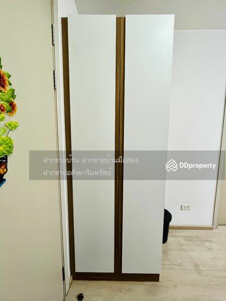 Elio Sukhumvit 64 : เอลลิโอ สุขุมวิท 64, Bangkok, 99 ซอยสุขุมวิท 64, Bang Chak, Phra Khanong, Bangkok, 1 Bedroom, 31 sqm, Condo For Sale, by ฝากขายบ้าน ฝากขายบ้านมือสอง ฝากขายอสัง Realty HuB, 10769783 - DDproperty.com