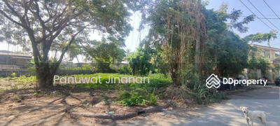 ขาย - ขาย ที่ดิน ที่ดินเปล่า, เชียงใหม่