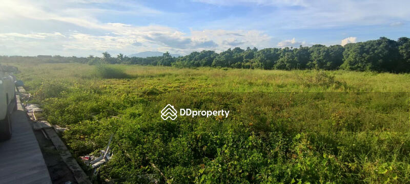 For Sale - ขาย ที่ดิน ตร.วา ละ 5500 บาท หลังดีญ่าวาเล่ย์ ซูเปอร์ 5 ไร่ 89.8 ตร.วา ติดถนน 2 ด้าน, Chiang Mai