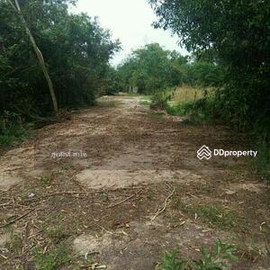 ขาย - ที่ดินเมืองระยอง 3-3-75 ไร่ ติดถนนบางจากซอย19และติดร้านครัวคุณออใก้ลคลองใหญ่เส้นทางเดินเรือลงสู่ทะเล, ระยอง