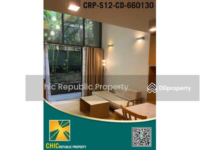 ขาย - Siamese Gioia : ไซมิส จอยญ่า, กรุงเทพ