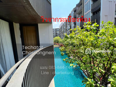ขาย - Kawa Haus : คาวะ เฮาส์, กรุงเทพ