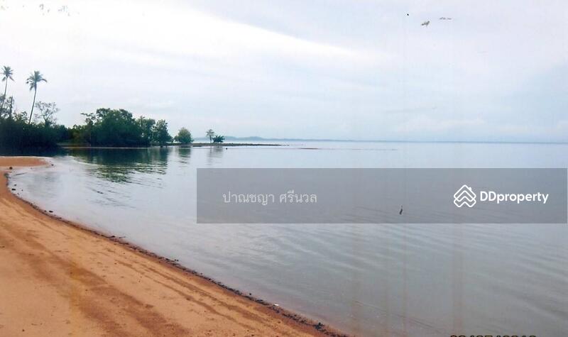 ขาย - ขายที่ดิน ติดทะเล เกาะช้าง จ. ตราด 3-0-41 ไร่, ตราด