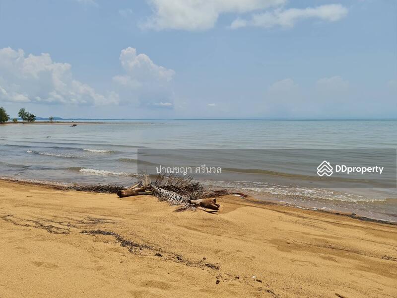 ขาย - ขายที่ดิน ติดทะเล เกาะช้าง จ. ตราด 3-0-41 ไร่, ตราด