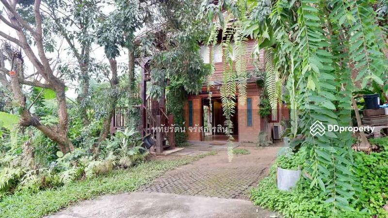 For Sale - Land and House for sale 10-2-25 rai in Chom Thong, Chiang Mai., Chiang Mai