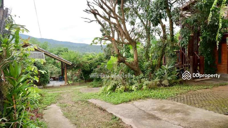 For Sale - Land and House for sale 10-2-25 rai in Chom Thong, Chiang Mai., Chiang Mai