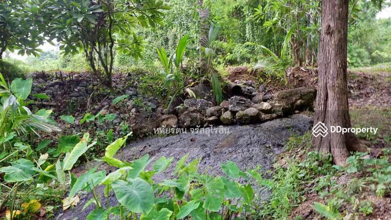 For Sale - Land and House for sale 10-2-25 rai in Chom Thong, Chiang Mai., Chiang Mai