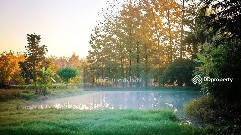 For Sale - Land and House for sale 10-2-25 rai in Chom Thong, Chiang Mai., Chiang Mai