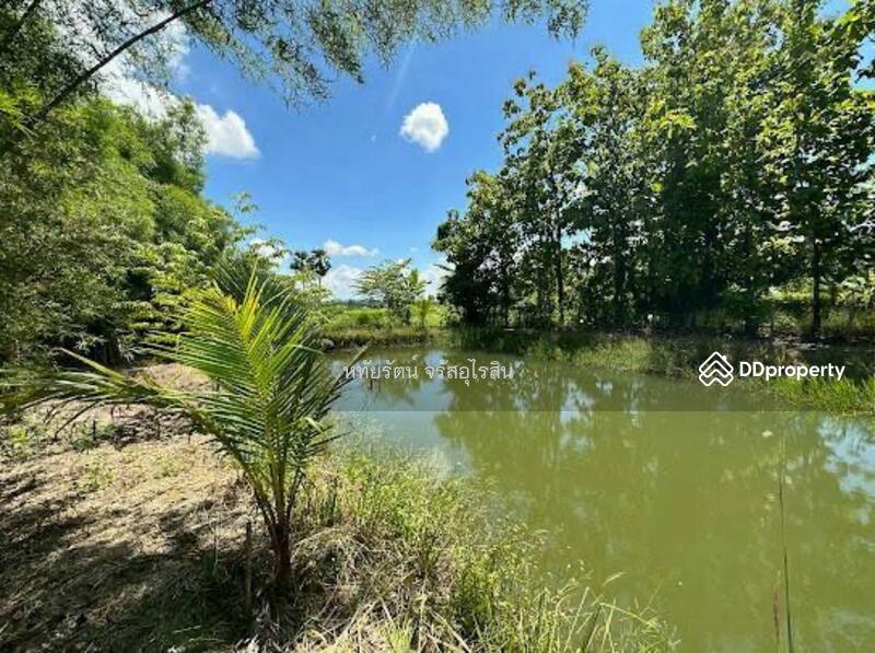 For Sale - Land and House for sale 10-2-25 rai in Chom Thong, Chiang Mai., Chiang Mai