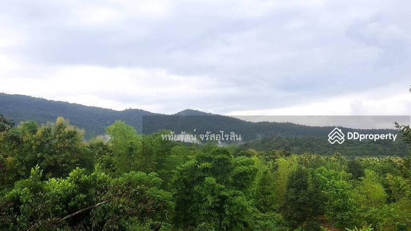 For Sale - Land and House for sale 10-2-25 rai in Chom Thong, Chiang Mai., Chiang Mai
