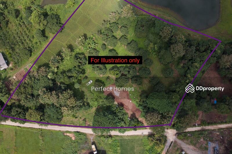 Prime Land For Sale Near Chiang Mai Highlands Golf & Spa Resort, chiang-mai, Mae On Nua, Mae On, Chiang Mai, , 6,560 sqm, Land For Sale, by คุณ รุ่งทิพย์, 10778540 - DDproperty.com