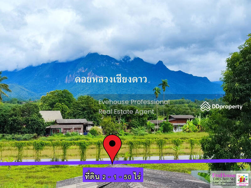ขาย - เชียงดาว, เชียงใหม่