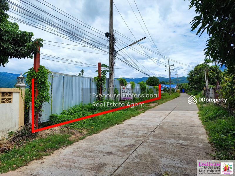 For Sale - Chiang Dao, Chiang Mai