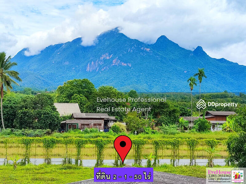 ขาย - เชียงดาว, เชียงใหม่