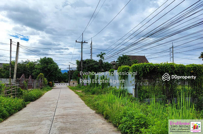 ขาย - เชียงดาว, เชียงใหม่