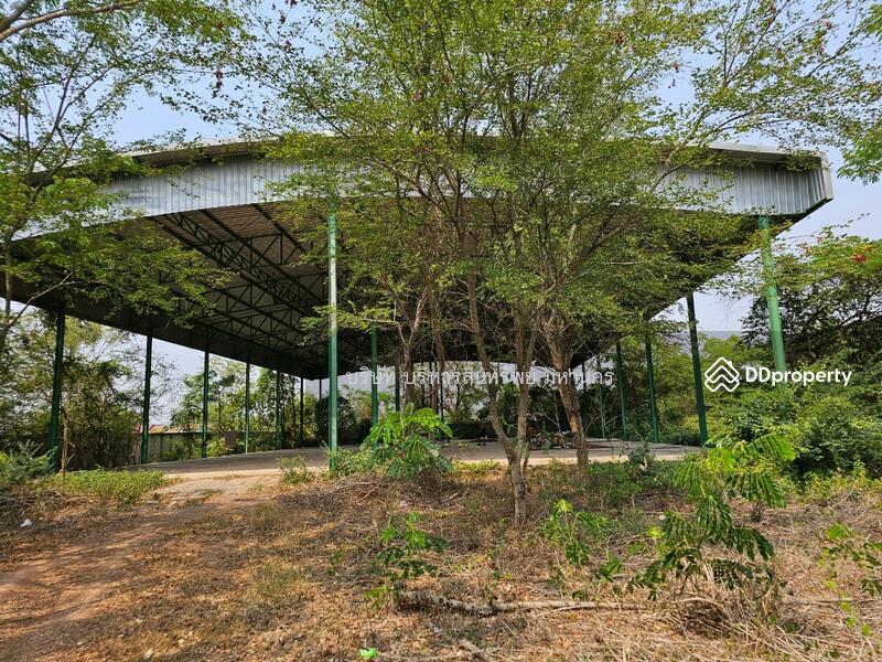 ขาย - 41000, อุดรธานี