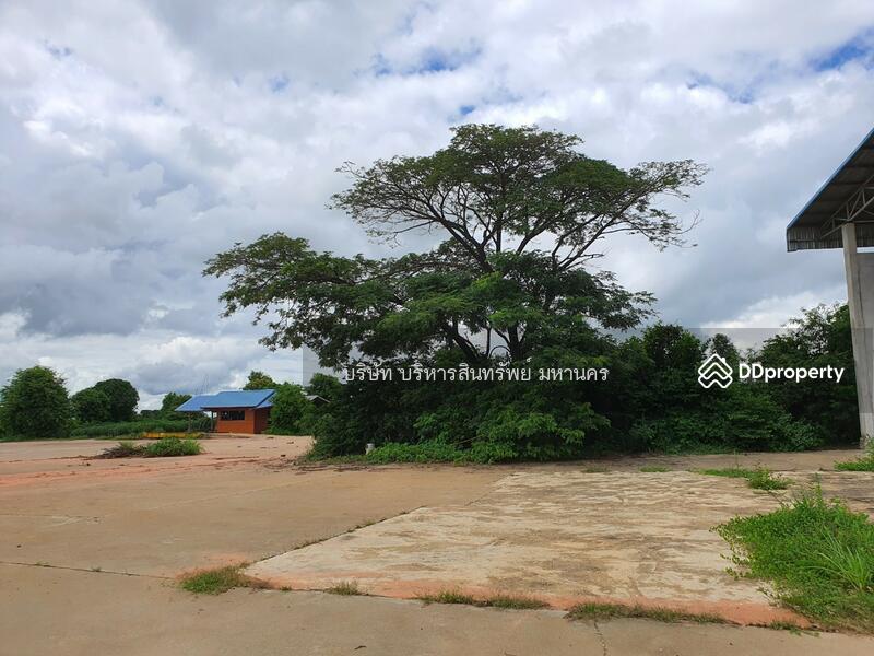 Warehouse Concrete Field 11.5 Rai, Yasothon, Thung Mon, Kham Khuan Kaeo, Yasothon, , 11,500 sqm, Warehouse/Factory For Sale, by Nopadon Iamimsamran, 10782039 - DDproperty.com