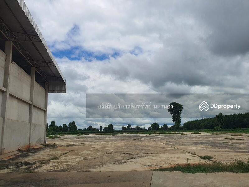 Warehouse Concrete Field 11.5 Rai, Yasothon, Thung Mon, Kham Khuan Kaeo, Yasothon, , 11,500 sqm, Warehouse/Factory For Sale, by Nopadon Iamimsamran, 10782039 - DDproperty.com