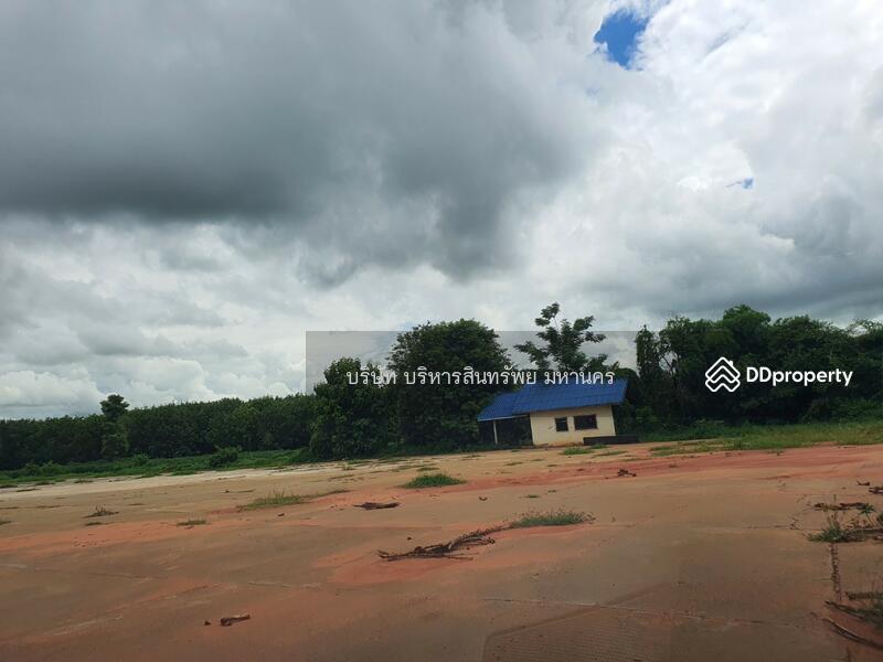 Warehouse Concrete Field 11.5 Rai, Yasothon, Thung Mon, Kham Khuan Kaeo, Yasothon, , 11,500 sqm, Warehouse/Factory For Sale, by Nopadon Iamimsamran, 10782039 - DDproperty.com