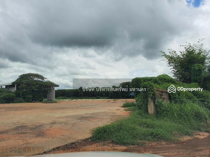 Warehouse Concrete Field 11.5 Rai, Yasothon, Thung Mon, Kham Khuan Kaeo, Yasothon, , 11,500 sqm, Warehouse/Factory For Sale, by Nopadon Iamimsamran, 10782039 - DDproperty.com