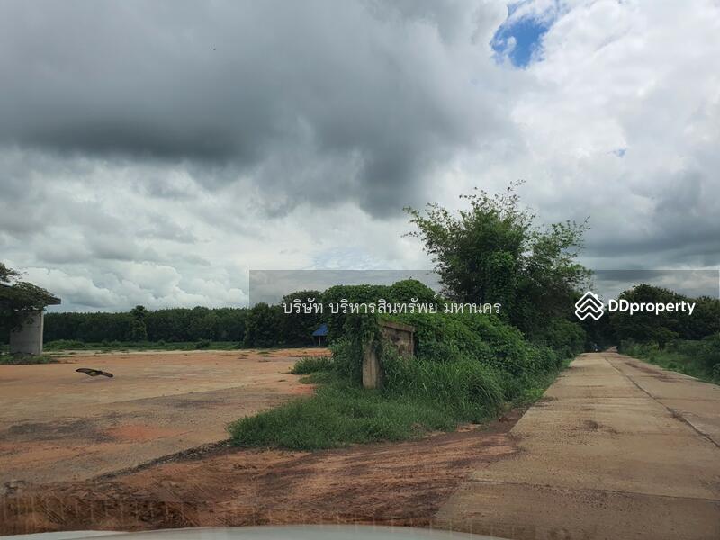 Warehouse Concrete Field 11.5 Rai, Yasothon, Thung Mon, Kham Khuan Kaeo, Yasothon, , 11,500 sqm, Warehouse/Factory For Sale, by Nopadon Iamimsamran, 10782039 - DDproperty.com