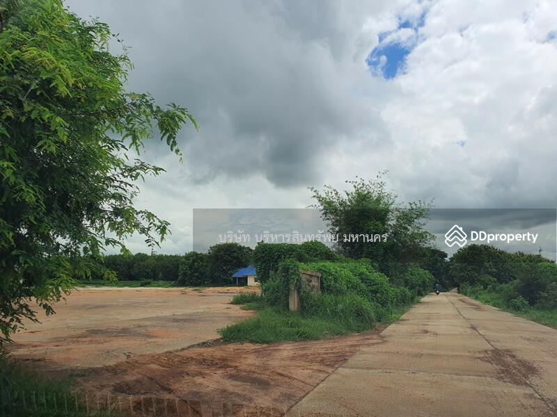 Warehouse Concrete Field 11.5 Rai, Yasothon, Thung Mon, Kham Khuan Kaeo, Yasothon, , 11,500 sqm, Warehouse/Factory For Sale, by Nopadon Iamimsamran, 10782039 - DDproperty.com