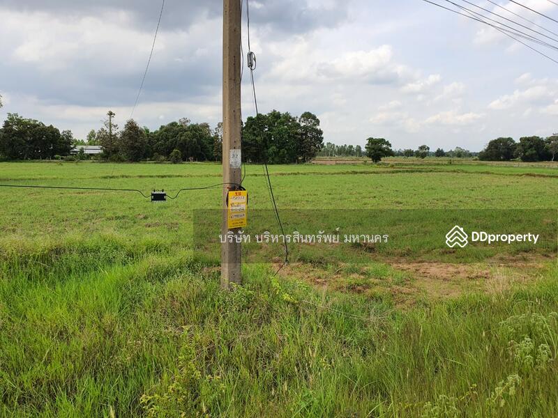 ขาย - 31150, ร้อยเอ็ด