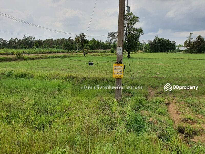 ขาย - 31150, ร้อยเอ็ด