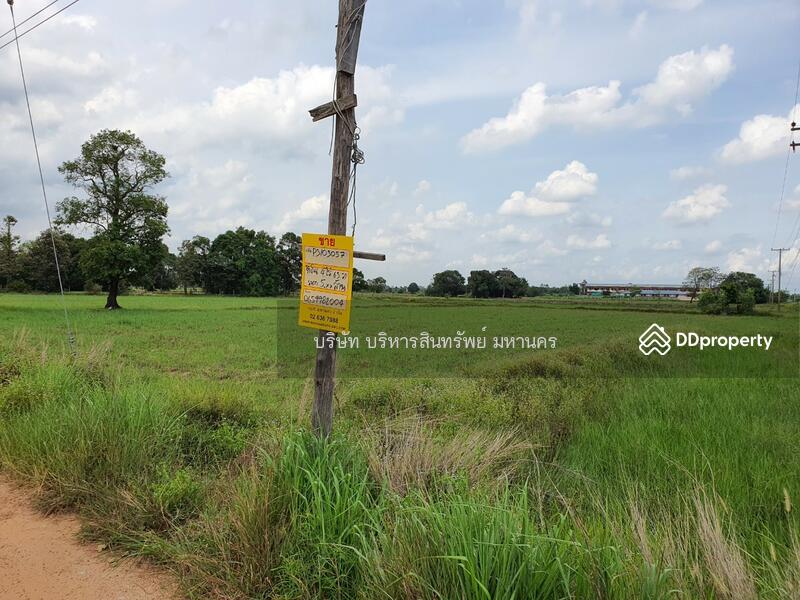 ขาย - 31150, ร้อยเอ็ด