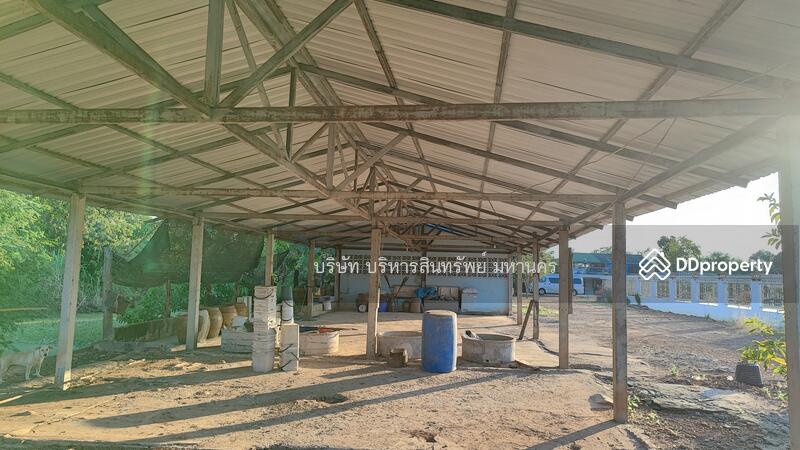 For Sale - Single House Tap Khlo Phichit, Phichit