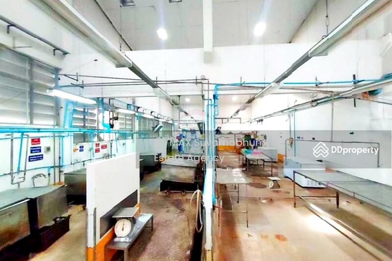 ขายโรงงาน 6 ไร่ 239 ตารางวา สงขลา : Factory for sale, 6 rai 239 square wah, Songkhla., Songkhla, Wat Khanun, Singha Nakhon, Songkhla, , 1,279 sqm, Warehouse/Factory For Sale, by Thanitcha Kangkasuwanno, 10783460 - DDproperty.com