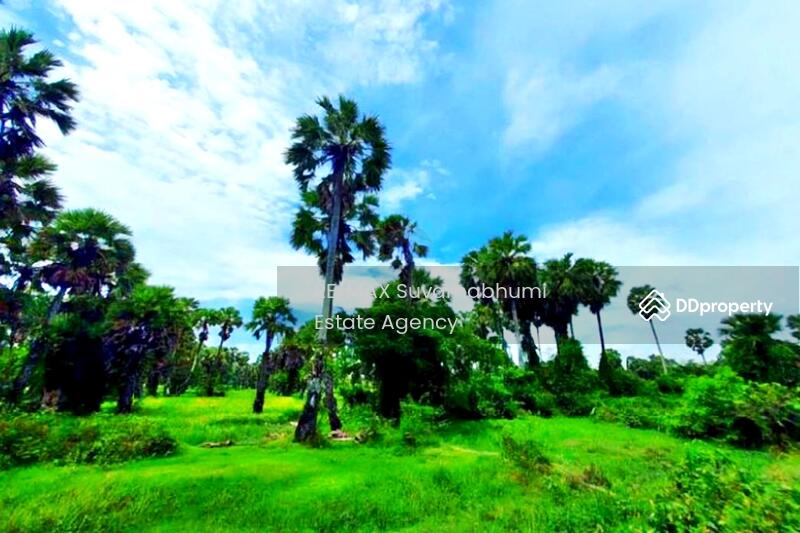 ขาย - ขายโรงงาน 6 ไร่ 239 ตารางวา สงขลา : Factory for sale, 6 rai 239 square wah, Songkhla., สงขลา