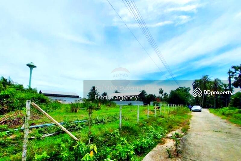 ขายโรงงาน 6 ไร่ 239 ตารางวา สงขลา : Factory for sale, 6 rai 239 square wah, Songkhla., Songkhla, Wat Khanun, Singha Nakhon, Songkhla, , 1,279 sqm, Warehouse/Factory For Sale, by Thanitcha Kangkasuwanno, 10783460 - DDproperty.com