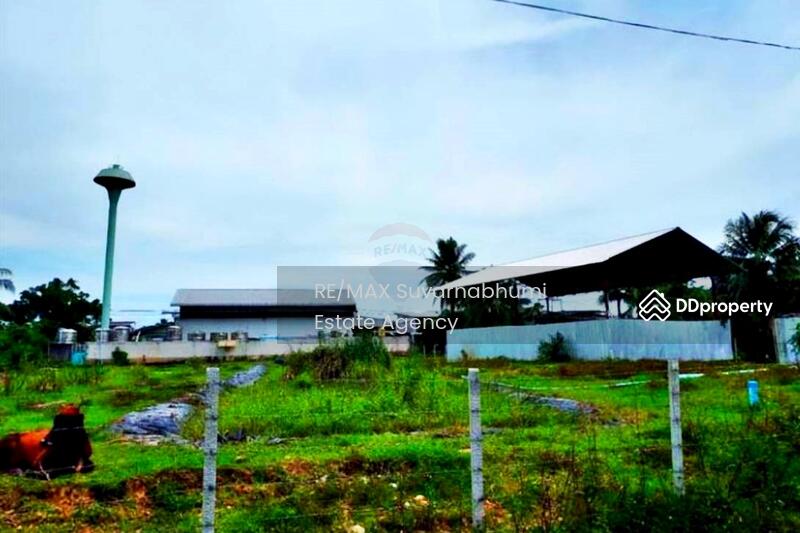 ขายโรงงาน 6 ไร่ 239 ตารางวา สงขลา : Factory for sale, 6 rai 239 square wah, Songkhla., Songkhla, Wat Khanun, Singha Nakhon, Songkhla, , 1,279 sqm, Warehouse/Factory For Sale, by Thanitcha Kangkasuwanno, 10783460 - DDproperty.com