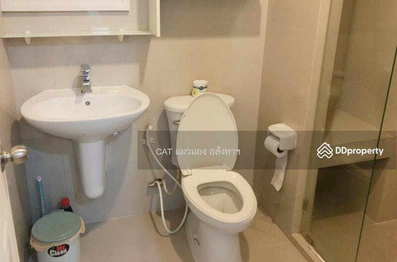 Manor Sanambinnam, Nonthaburi, 557 Nonthaburi Road, Bang Kra So, Muang Nonthaburi, Nonthaburi, 1 Bedroom, 33 sqm, Condo For Rent, by Cat Real Estate (Thailand) Co., Ltd., 10786148 - DDproperty.com