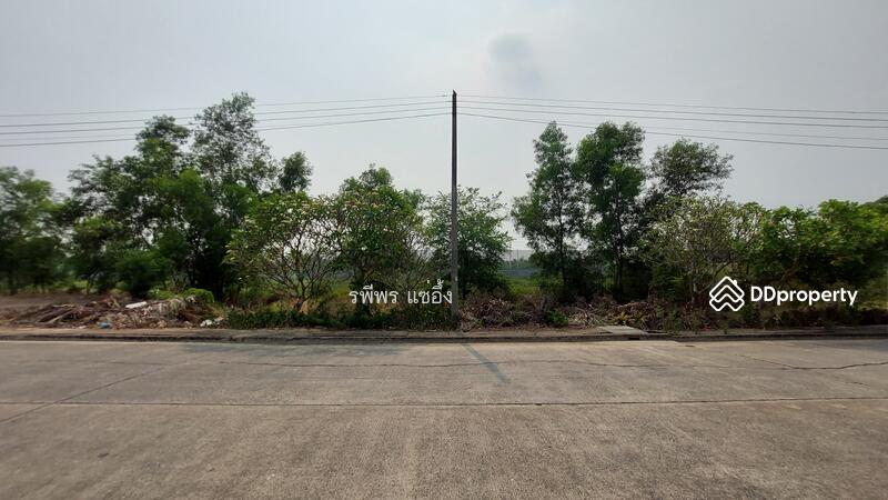 ขายที่ดินเปล่า หมู่บ้านเทพธารินทร์ คลอง 11 ปทุมธานี, Pathum Thani, Bung Nam Rak, Thanyaburi, Pathum Thani, , 614 sqm, Land For Sale, by รพีพร แซ่อึ้ง, 10789287 - DDproperty.com