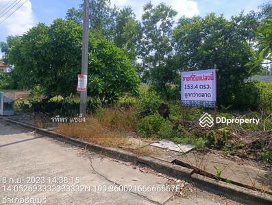 ขาย - ขายที่ดินเปล่า หมู่บ้านเทพธารินทร์ คลอง 11 ปทุมธานี, ปทุมธานี