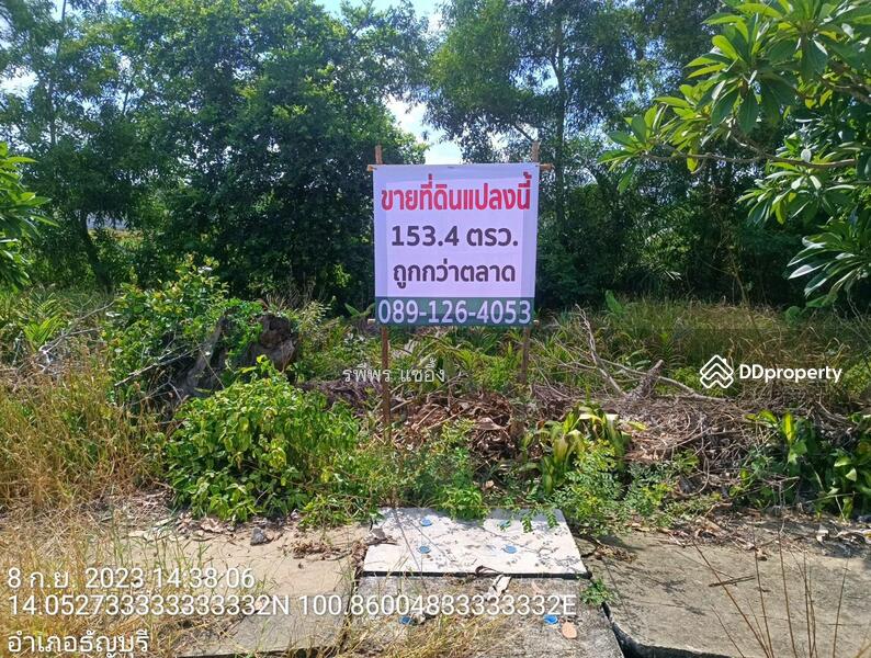 ขายที่ดินเปล่า หมู่บ้านเทพธารินทร์ คลอง 11 ปทุมธานี, ปทุมธานี, บึงน้ำรักษ์, ธัญบุรี, ปทุมธานี, 614 ตร.ม., ที่ดิน ขาย, โดย รพีพร แซ่อึ้ง, 10789287 - DDproperty.com