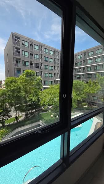 The Origin Sukhumvit 105, Bangkok, 818 Sukhumvit 105 Alley, Bang Na, Bangkok, 1 Bedroom, 28 sqm, Condo For Rent, by pun pun piyahirunchart, 10790379 - DDproperty.com