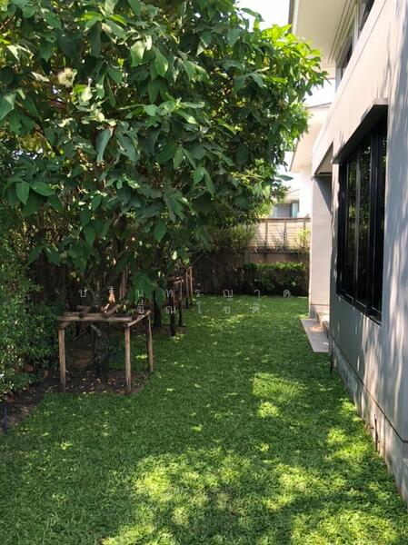 ให้เช่า - Setthasiri Charan-Pinklao 2 : เศรษฐสิริ จรัญฯ-ปิ่นเกล้า 2, กรุงเทพ