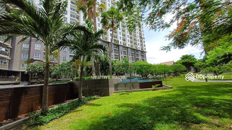 The Parkland Srinakarin Lakeside : เดอะ พาร์คแลนด์ ศรีนครินทร์ เลคไซด์, สมุทรปราการ, 555 ถ. ลาซาล, บางแก้ว, บางพลี, สมุทรปราการ, 36 ตร.ม., คอนโด ให้เช่า, โดย นัทยาพร พึ่มกุล (เบนซ์), 10790495 - DDproperty.com